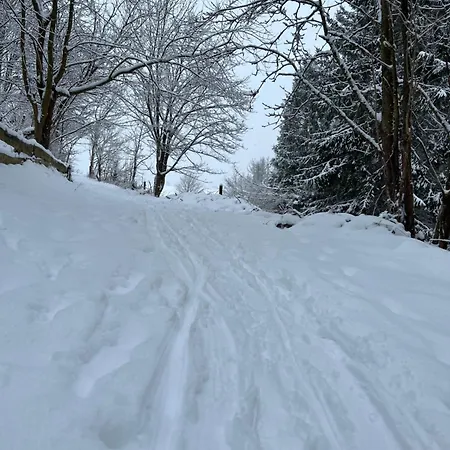 Harz-momente Lieblingsplatz Апартаменты *